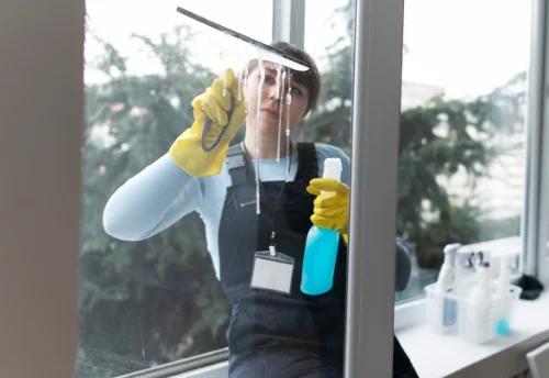 Nettoyage de vitres intérieures et extérieures à Pleure